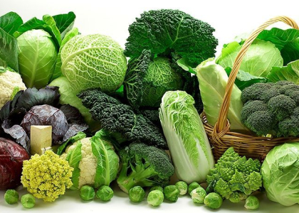 Nông Sản Sạch Lâm Đồng