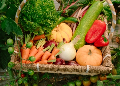 Combo Dalang Dáng Xanh