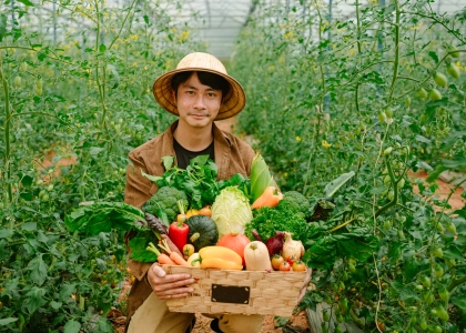 Thu Hoạch tại farm DaLang Đà Lạt