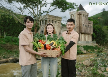 Cung Cấp Rau Củ Quả Đà Lạt