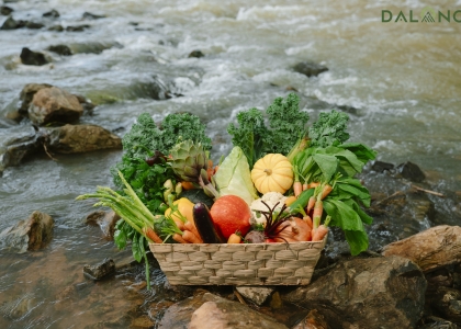 Combo Dalang Quà Xanh 